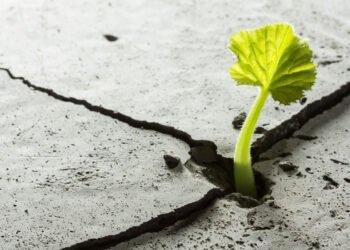 No Somos Nuestro Empleo, Ni Nuestros Ingresos