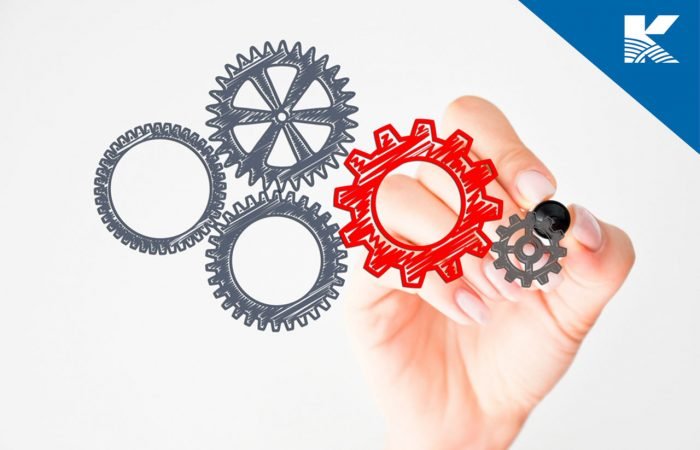 Curso Mapeo para la Mejora de Procesos de Negocios (BPI)