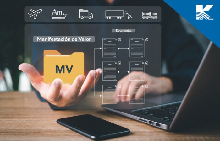 Curso Manifestación de Valor Electrónica