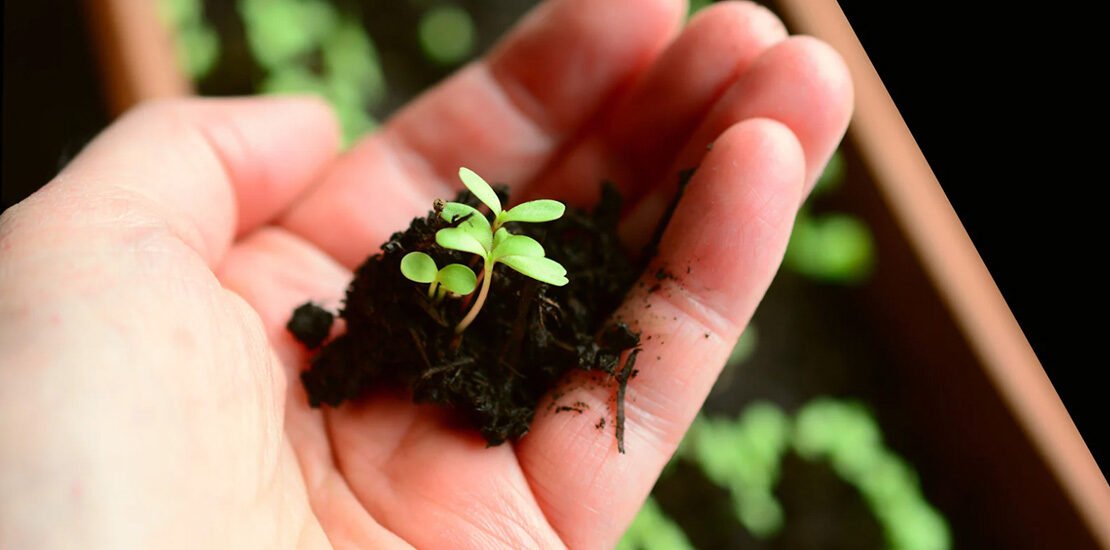 El mercado premia la constancia, la entrega y la honestidad