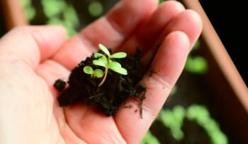 El mercado premia la constancia, la entrega y la honestidad