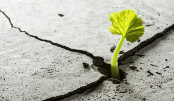 No Somos Nuestro Empleo, Ni Nuestros Ingresos